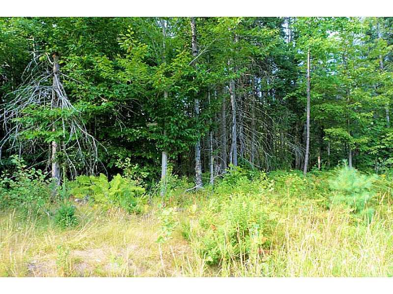 Lot 79 Canaan Road Pittsfield, ME 04967 - Photo 2 of 3 Land.