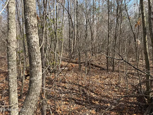 $24,900 | Cumberland Lakes Drive, Unit 201, Monterey, TN 38574