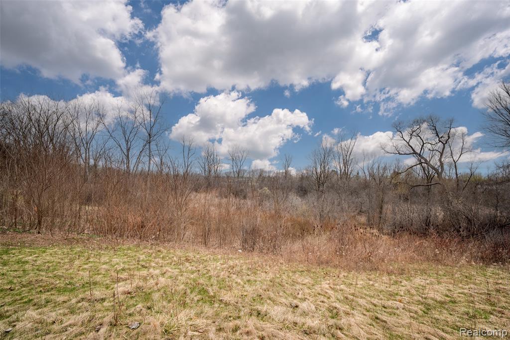 5100 Park Road Ann Arbor, MI 48103 - Photo 5 of 27