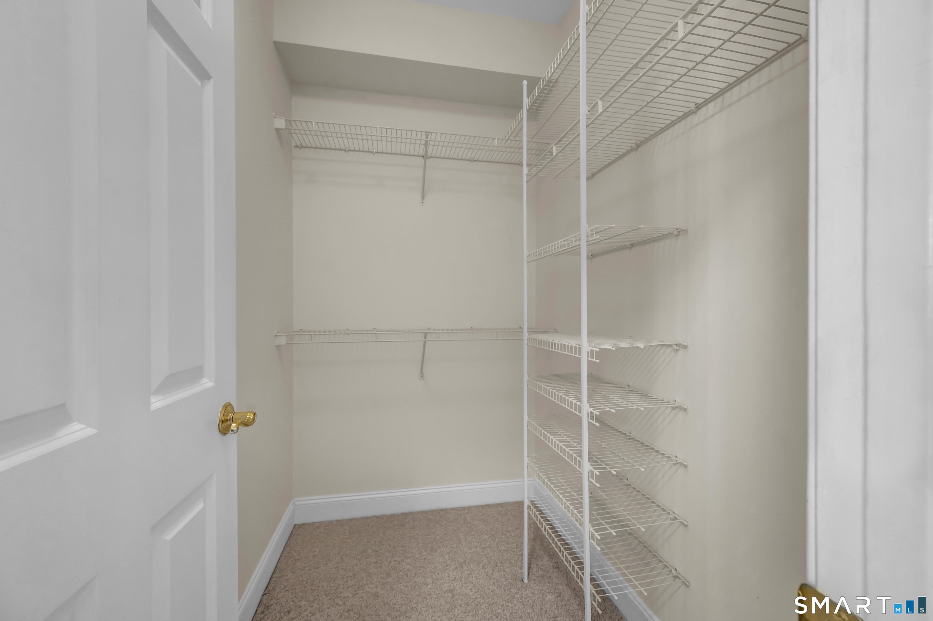 10 Hayestown Road, Unit 321 Danbury, CT 06811 - Photo 24 of 39 a view of walk in closet