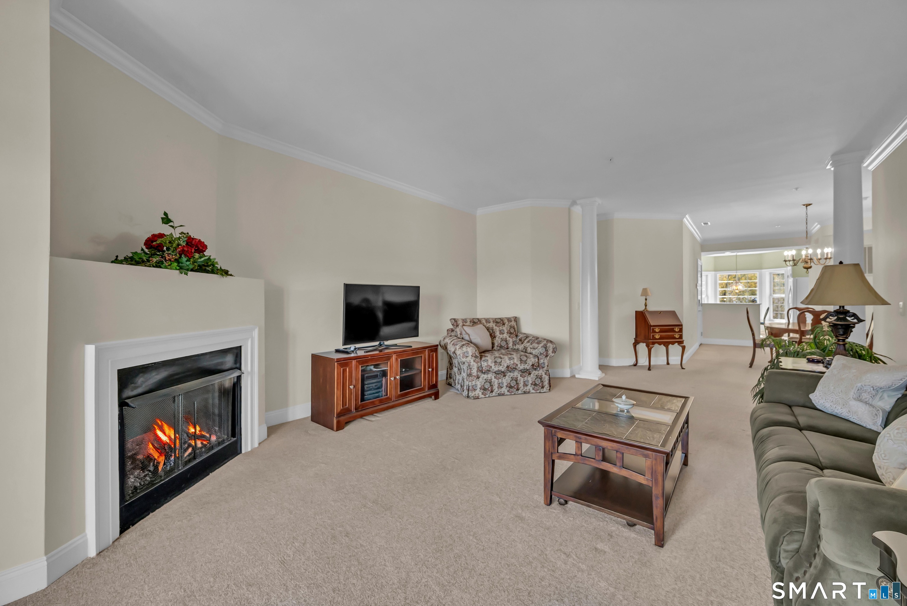 10 Hayestown Road, Unit 321 Danbury, CT 06811 - Photo 5 of 39 a living room with furniture a flat screen tv and a fireplace