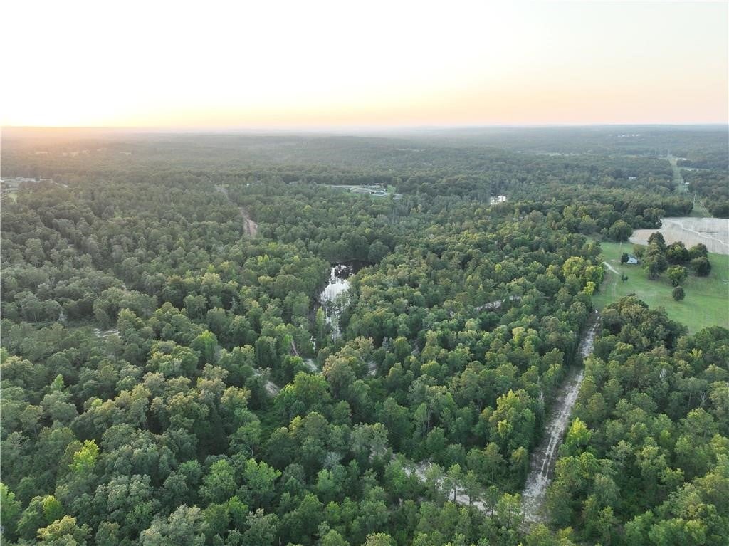 0 Sweetwater Branch Road Fort Mitchell, AL 36856 - Photo 5 of 20 Gallery Image 5