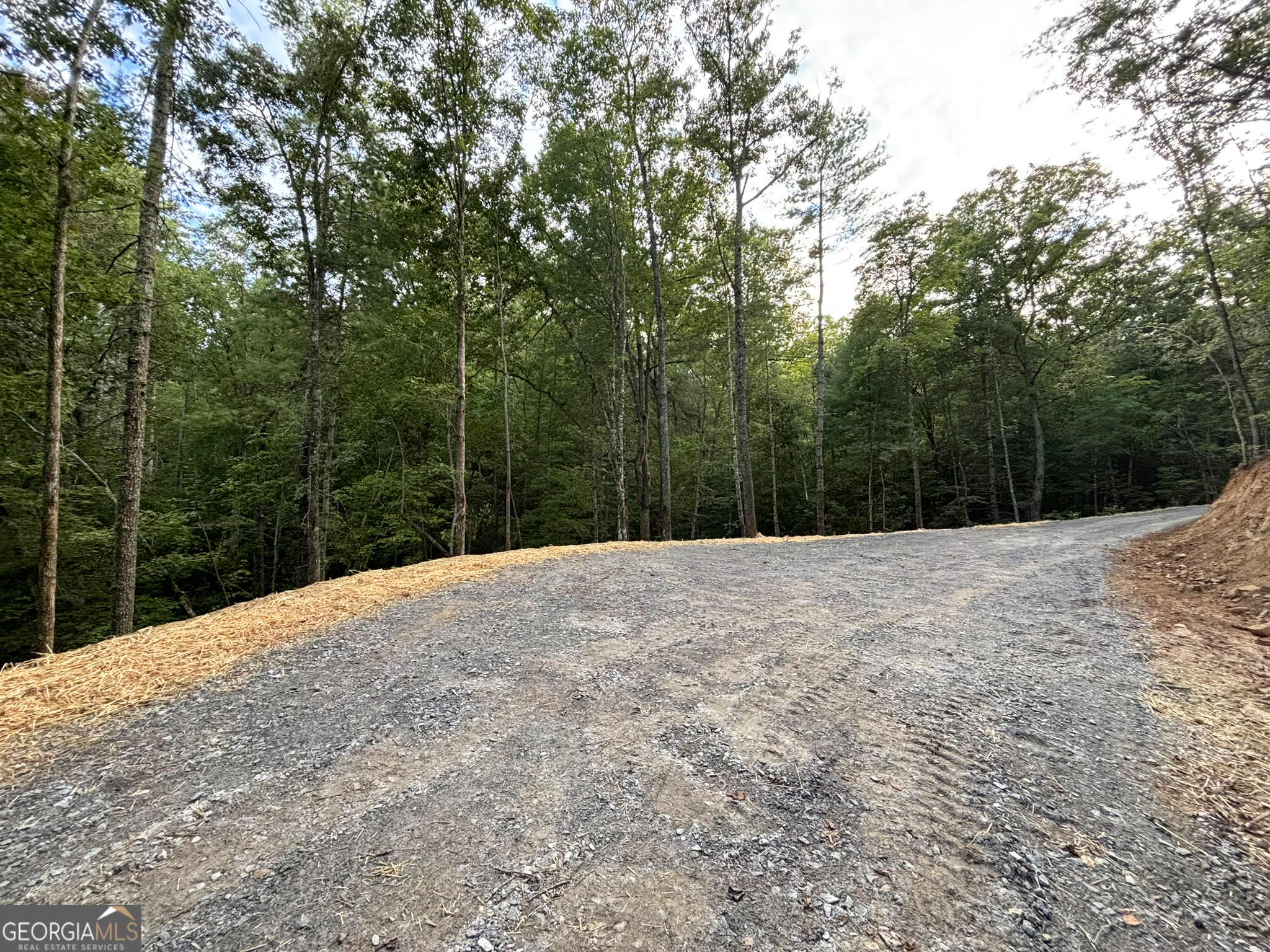 396 Mt Springer Road Ellijay, GA 30540 - Photo 34 of 50