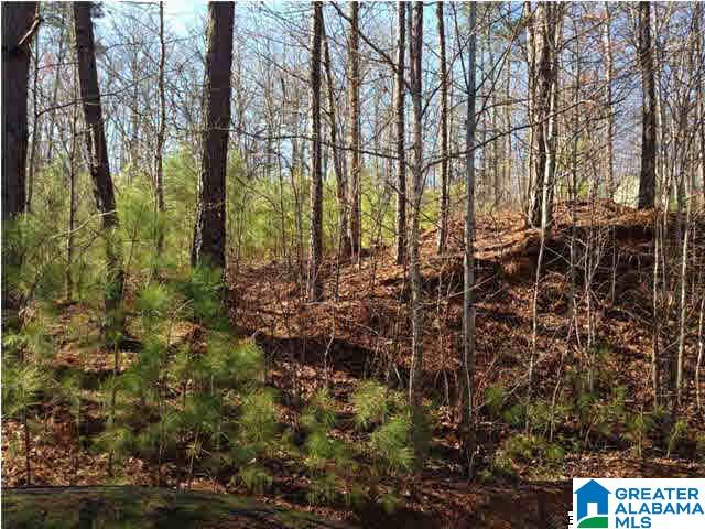 0 Woolfolk Road, Unit 3 ACRES Munford, AL 36268 - Photo 5 of 24