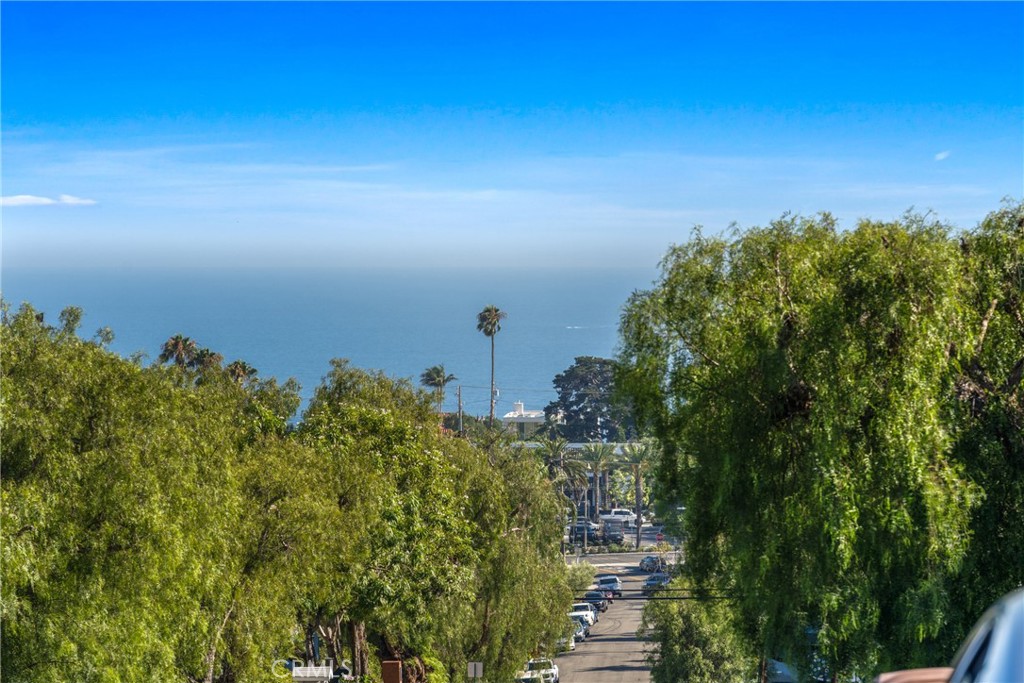 33872 Granada Drive Dana Point, CA 92629 - Photo 25 of 27 a view of a lake with a building in front of it