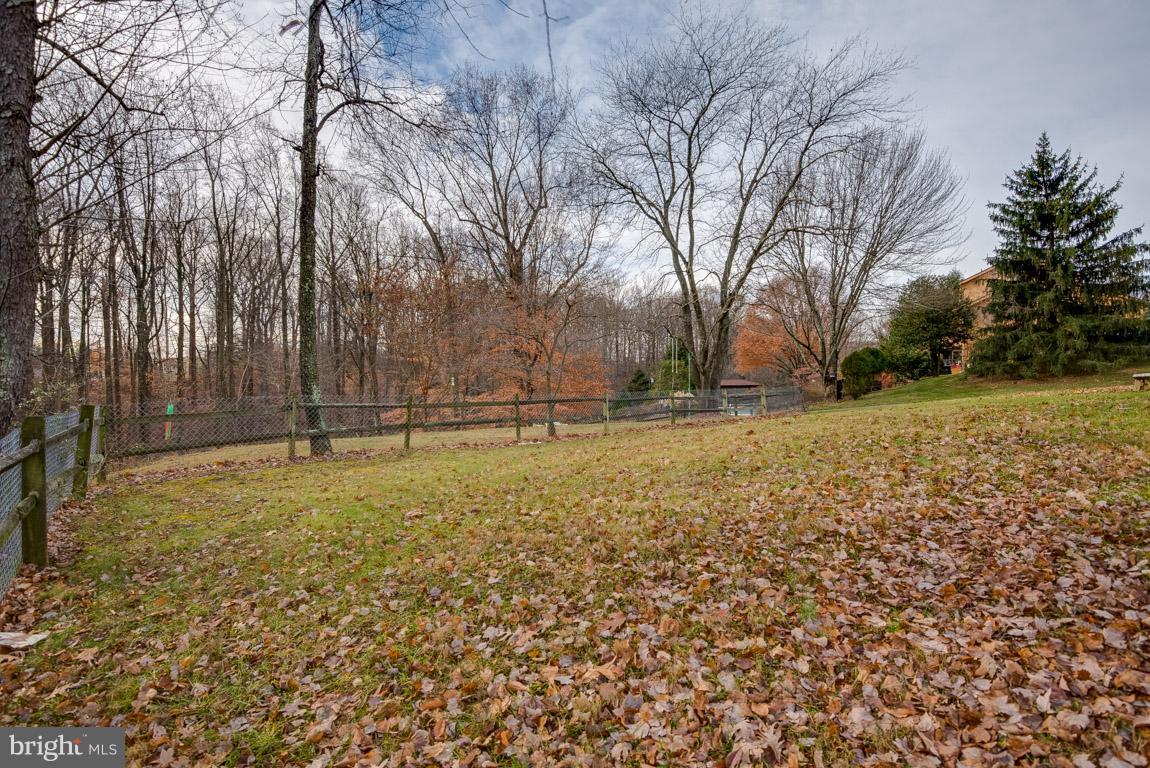 7601 Brooklyn Bridge Road Laurel, MD 20707 - Photo 18 of 21 Exterior (Rear)