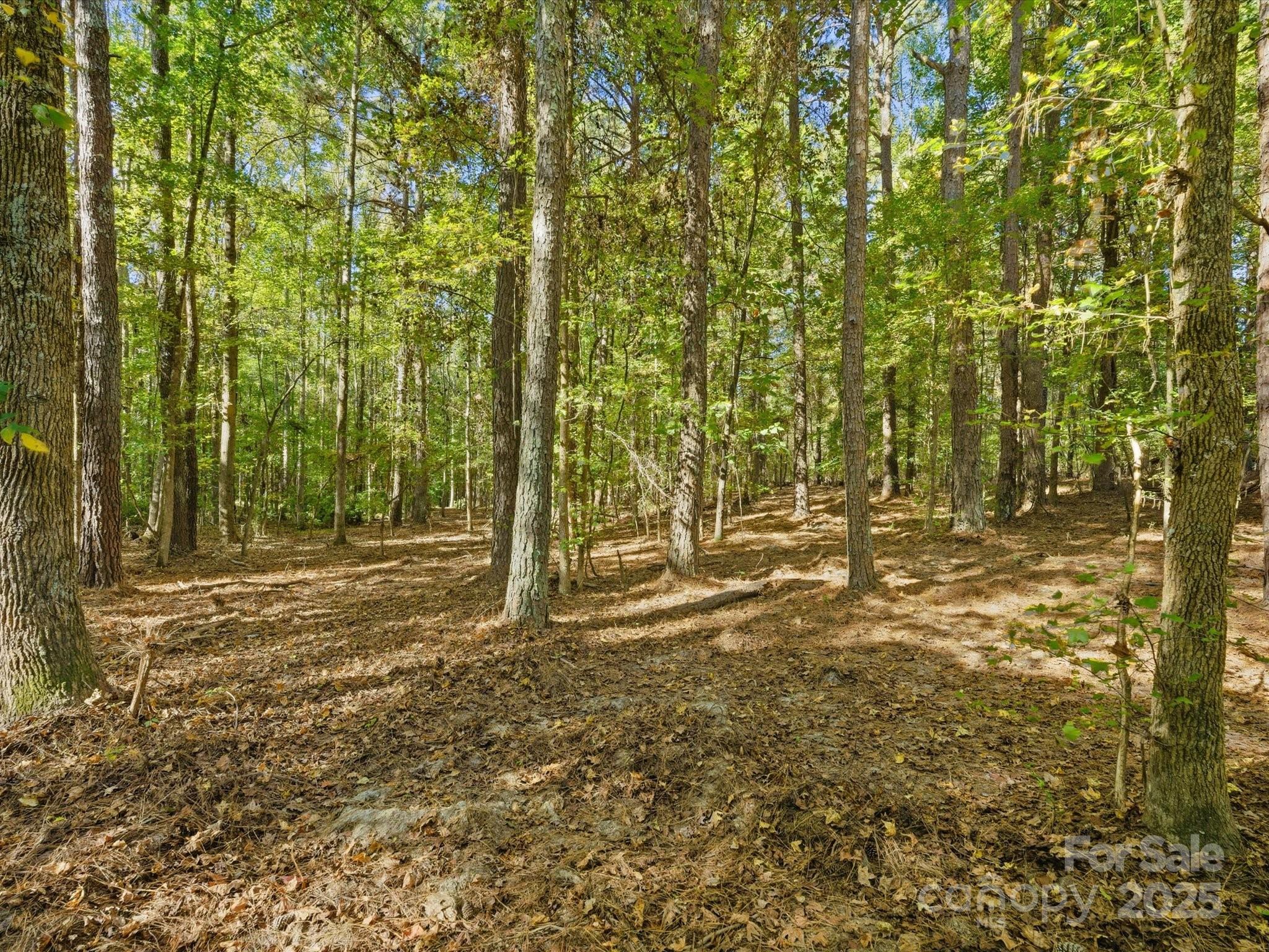 0 Rehobeth Road Waxhaw, NC 28173 - Photo 11 of 20 a view of a yard with trees