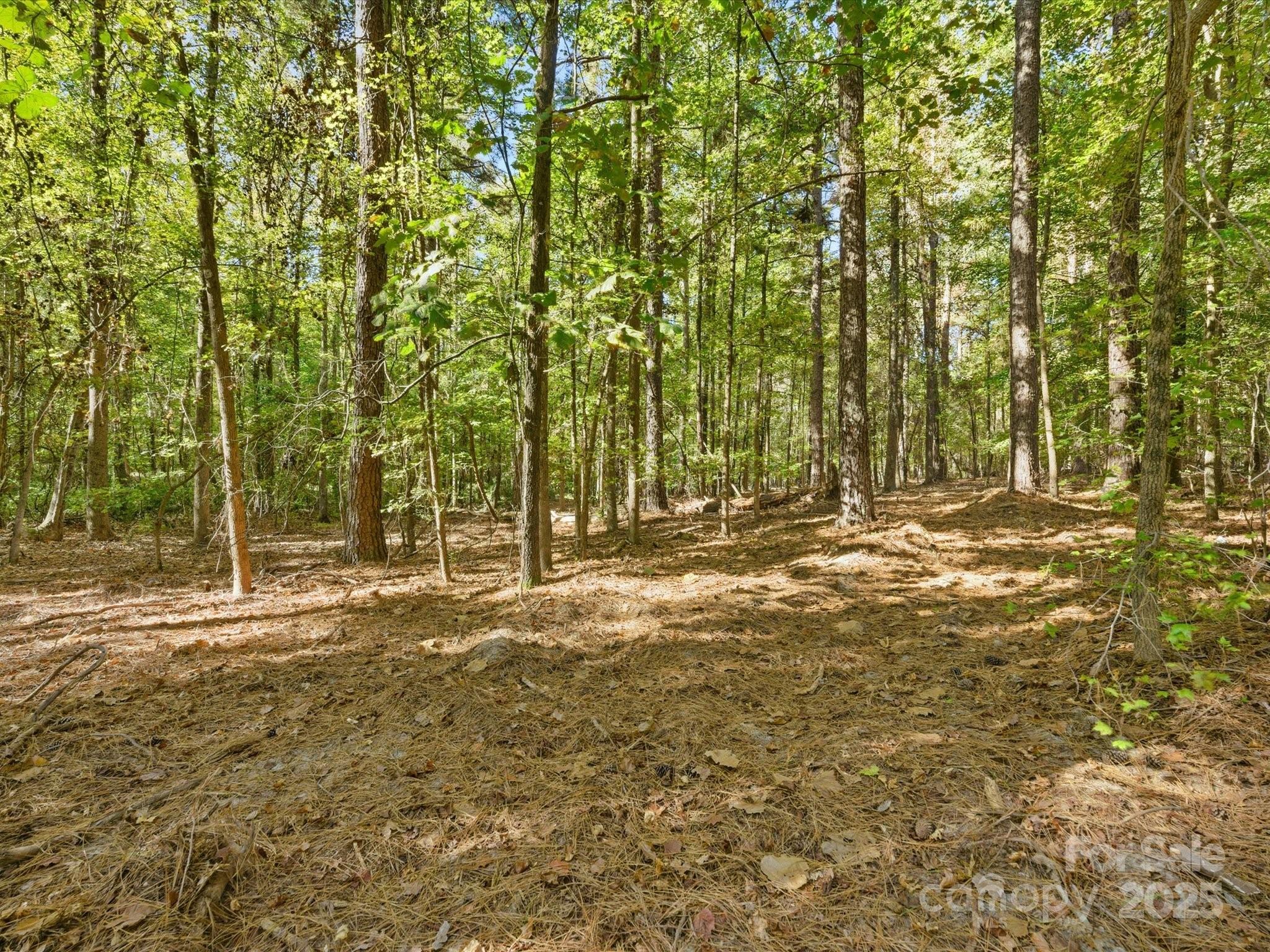 0 Rehobeth Road Waxhaw, NC 28173 - Photo 12 of 20 a view of dirt yard with trees