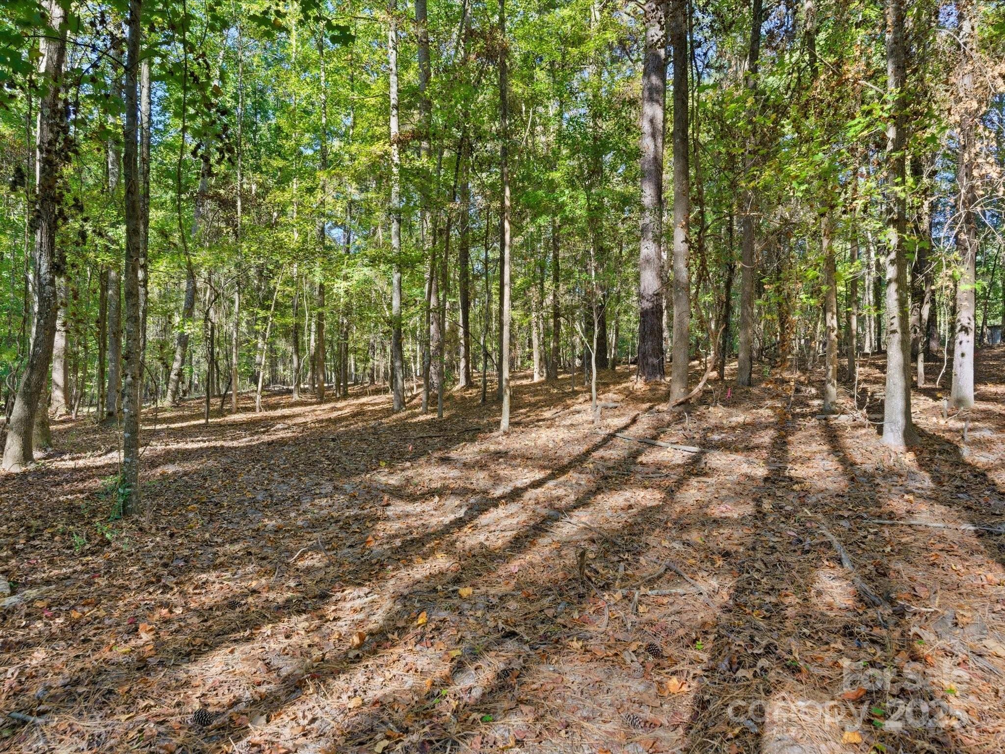 0 Rehobeth Road Waxhaw, NC 28173 - Photo 13 of 20 a view of outdoor space with trees