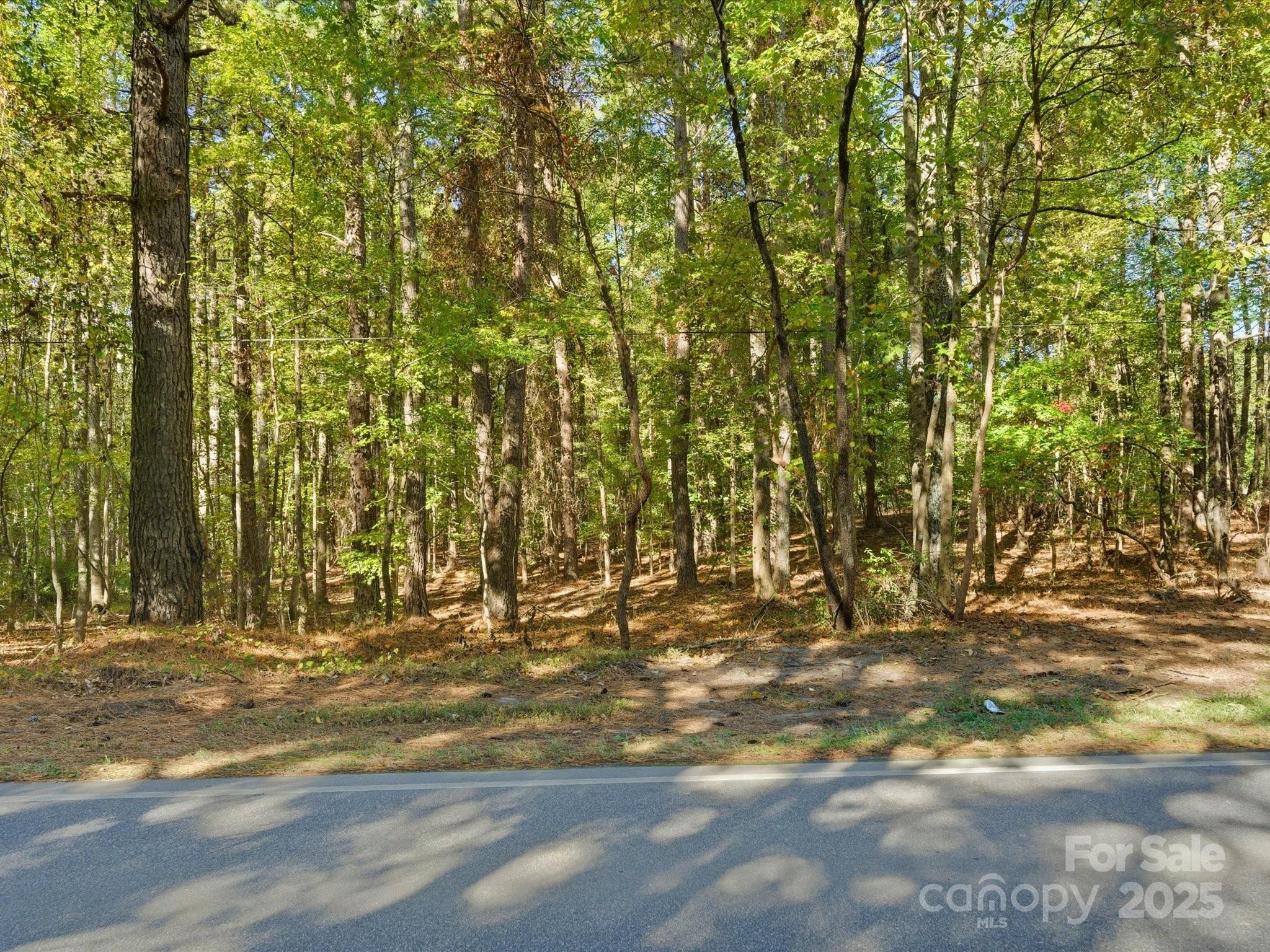 0 Rehobeth Road Waxhaw, NC 28173 - Photo 14 of 20