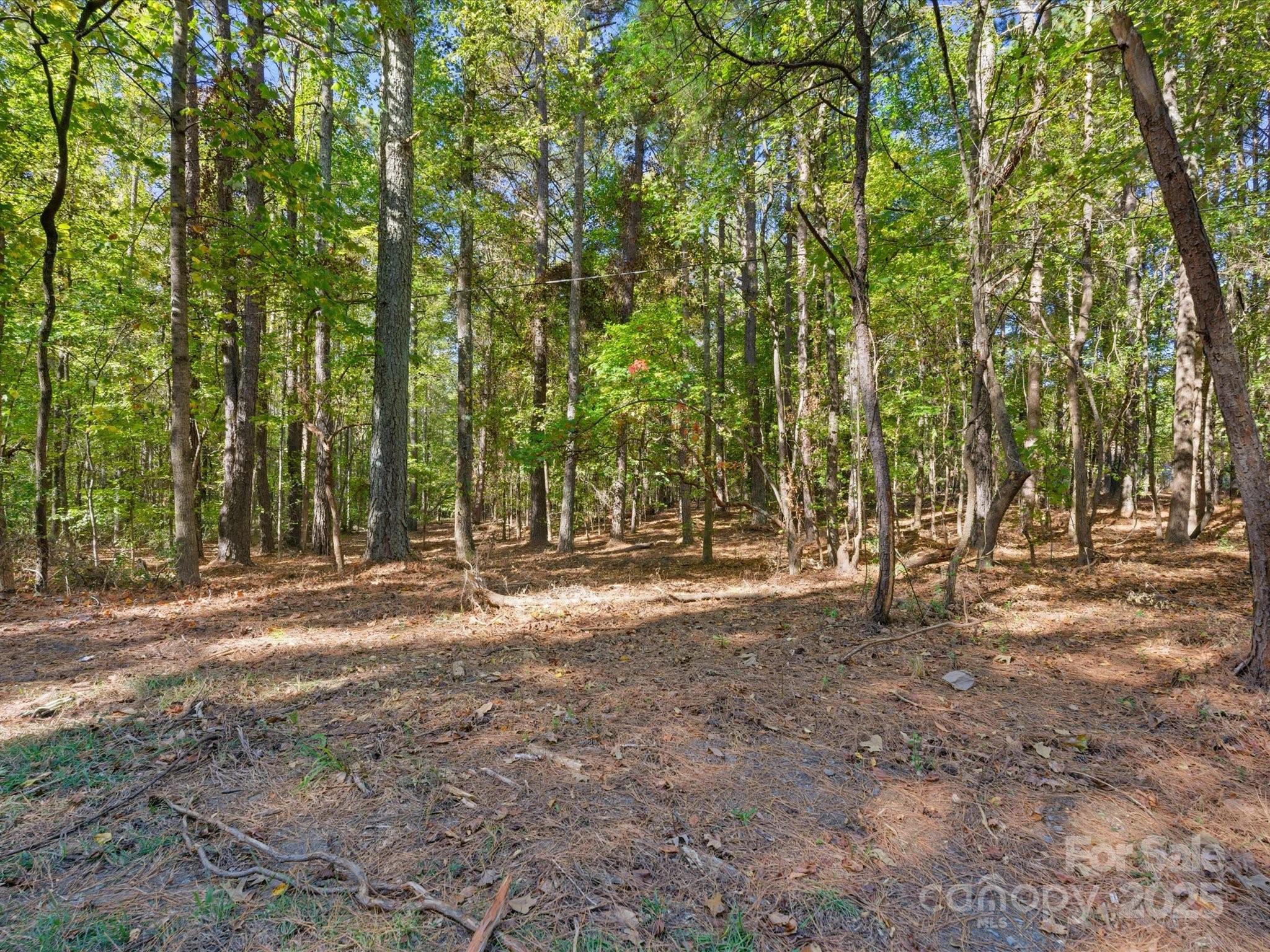 0 Rehobeth Road Waxhaw, NC 28173 - Photo 15 of 20 a backyard of a house with lots of green space