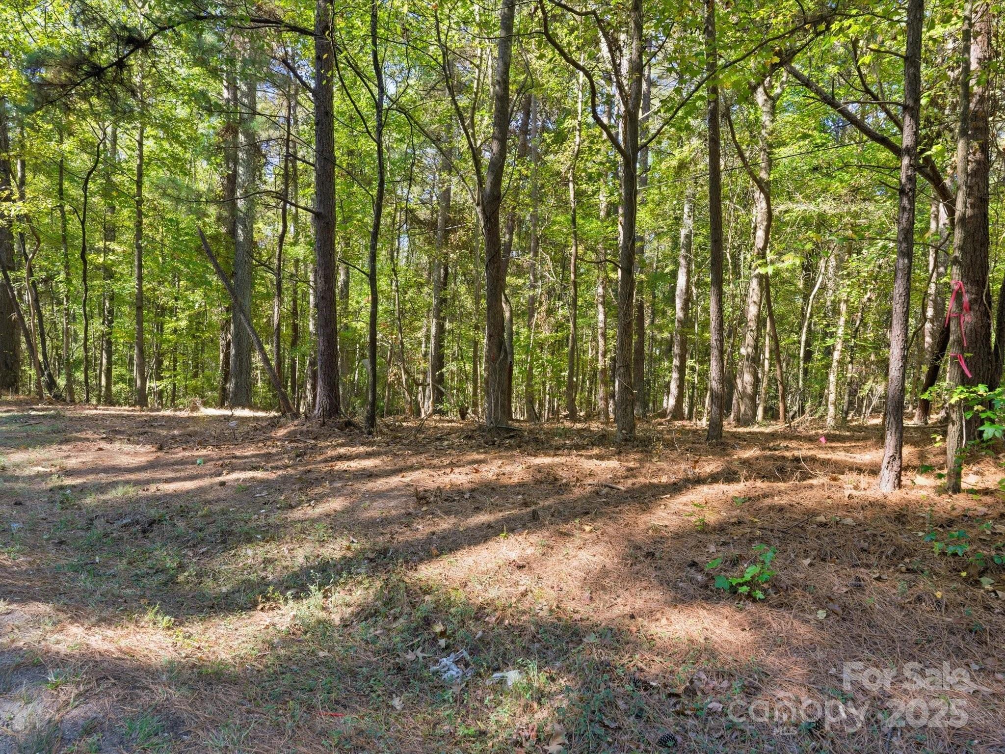 0 Rehobeth Road Waxhaw, NC 28173 - Photo 16 of 20 a view of outdoor space with deck and trees