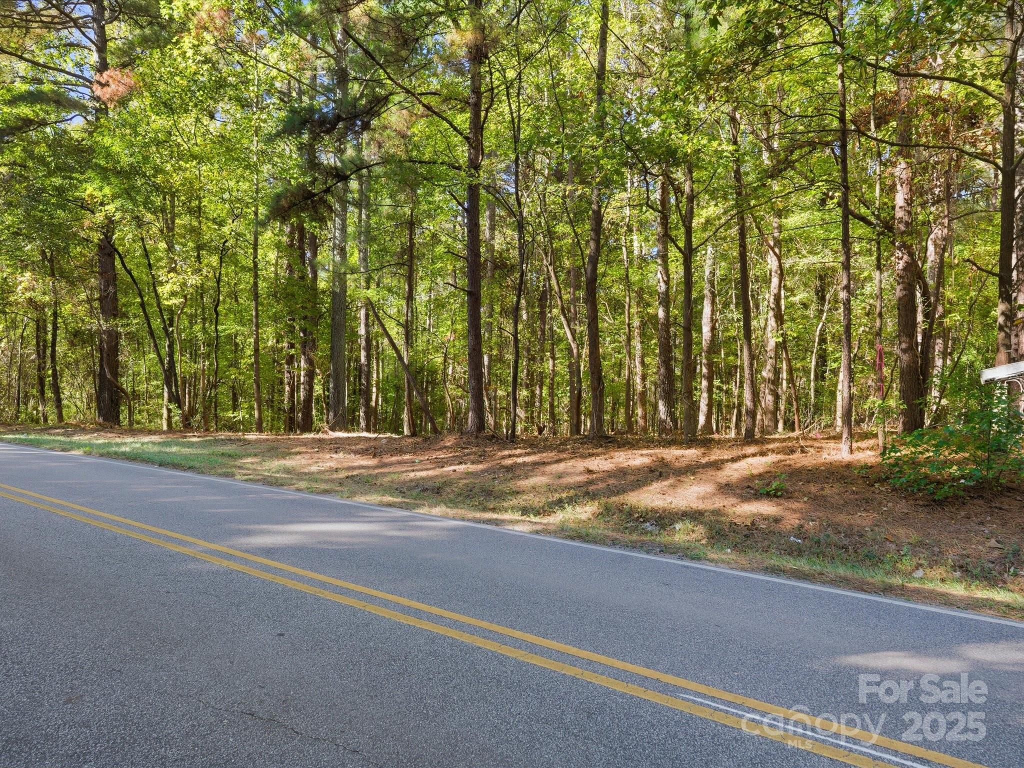 0 Rehobeth Road Waxhaw, NC 28173 - Photo 19 of 20 a view of a yard with a trees