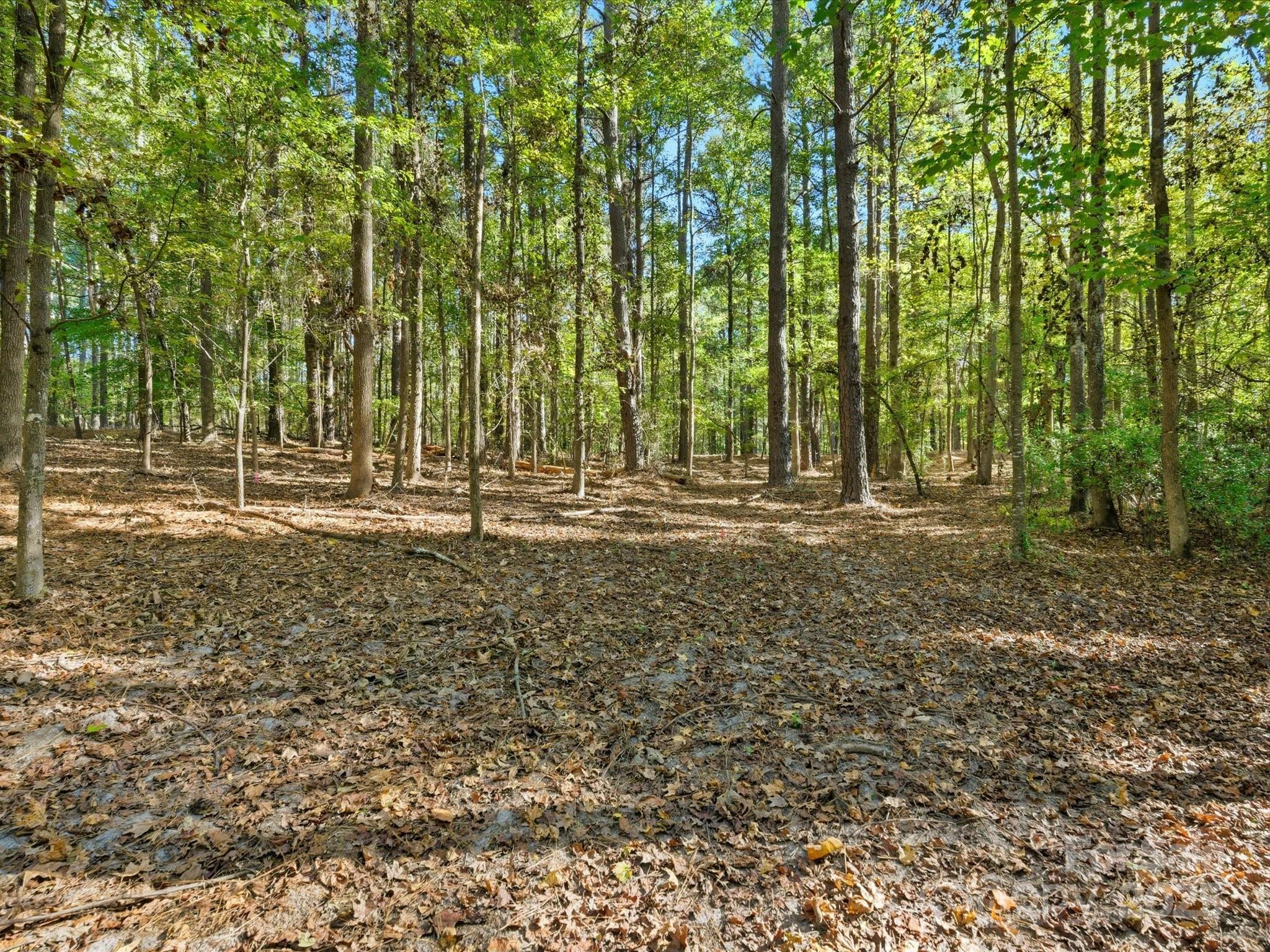 0 Rehobeth Road Waxhaw, NC 28173 - Photo 2 of 20 a view of outdoor space with trees