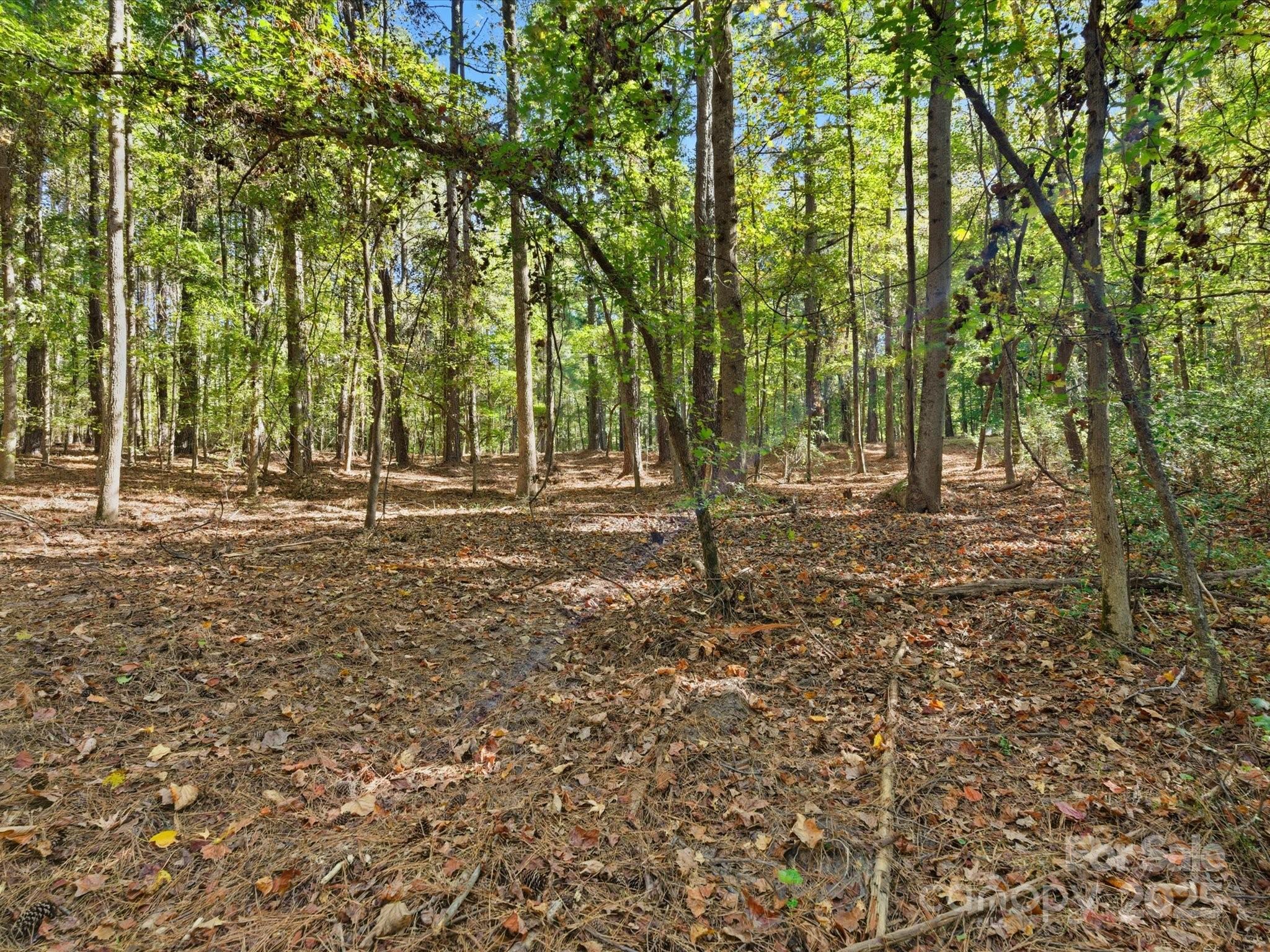 0 Rehobeth Road Waxhaw, NC 28173 - Photo 4 of 20 a backyard of a house with lots of green space