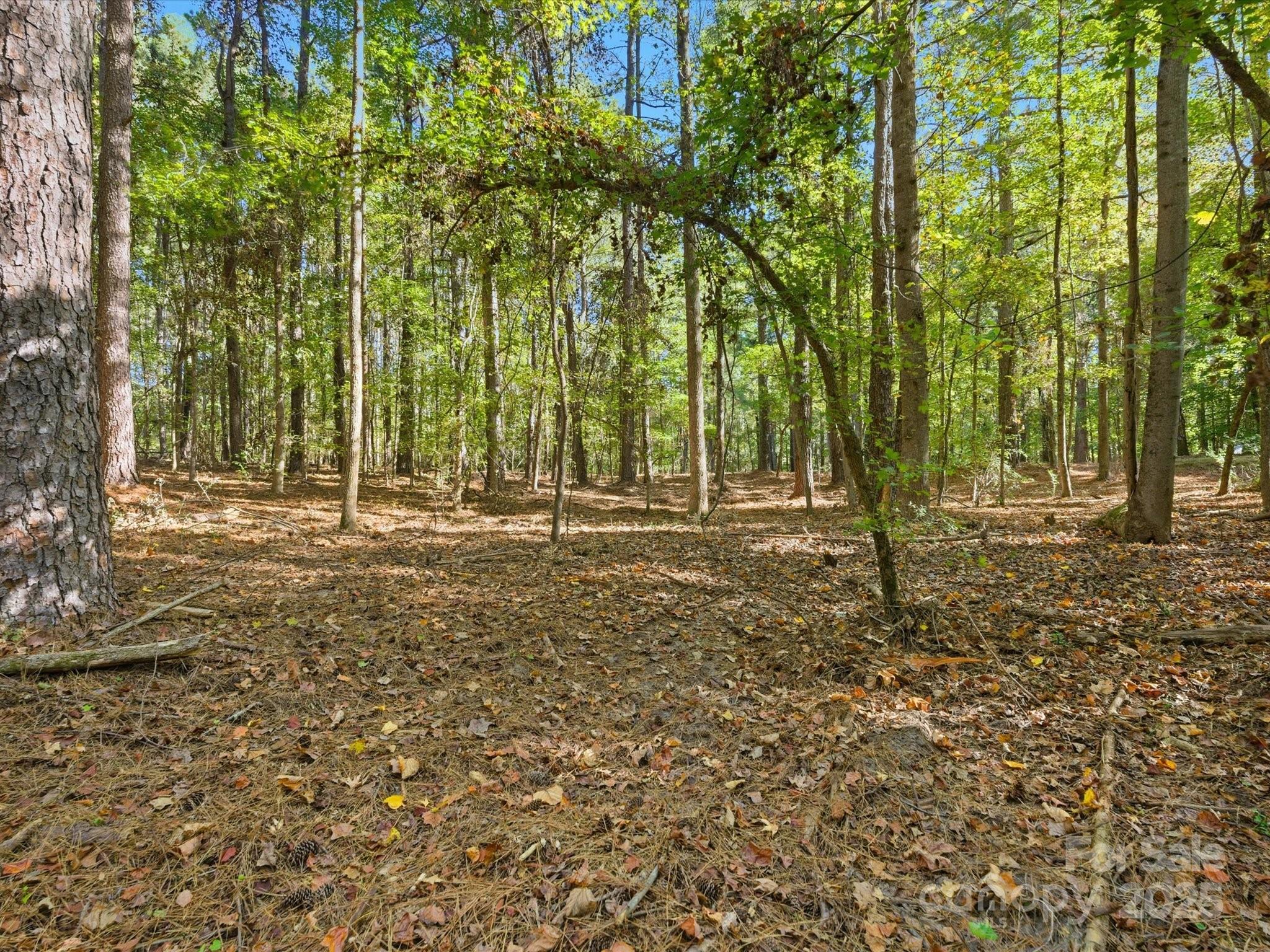 0 Rehobeth Road Waxhaw, NC 28173 - Photo 6 of 20 a backyard of a house with lots of green space