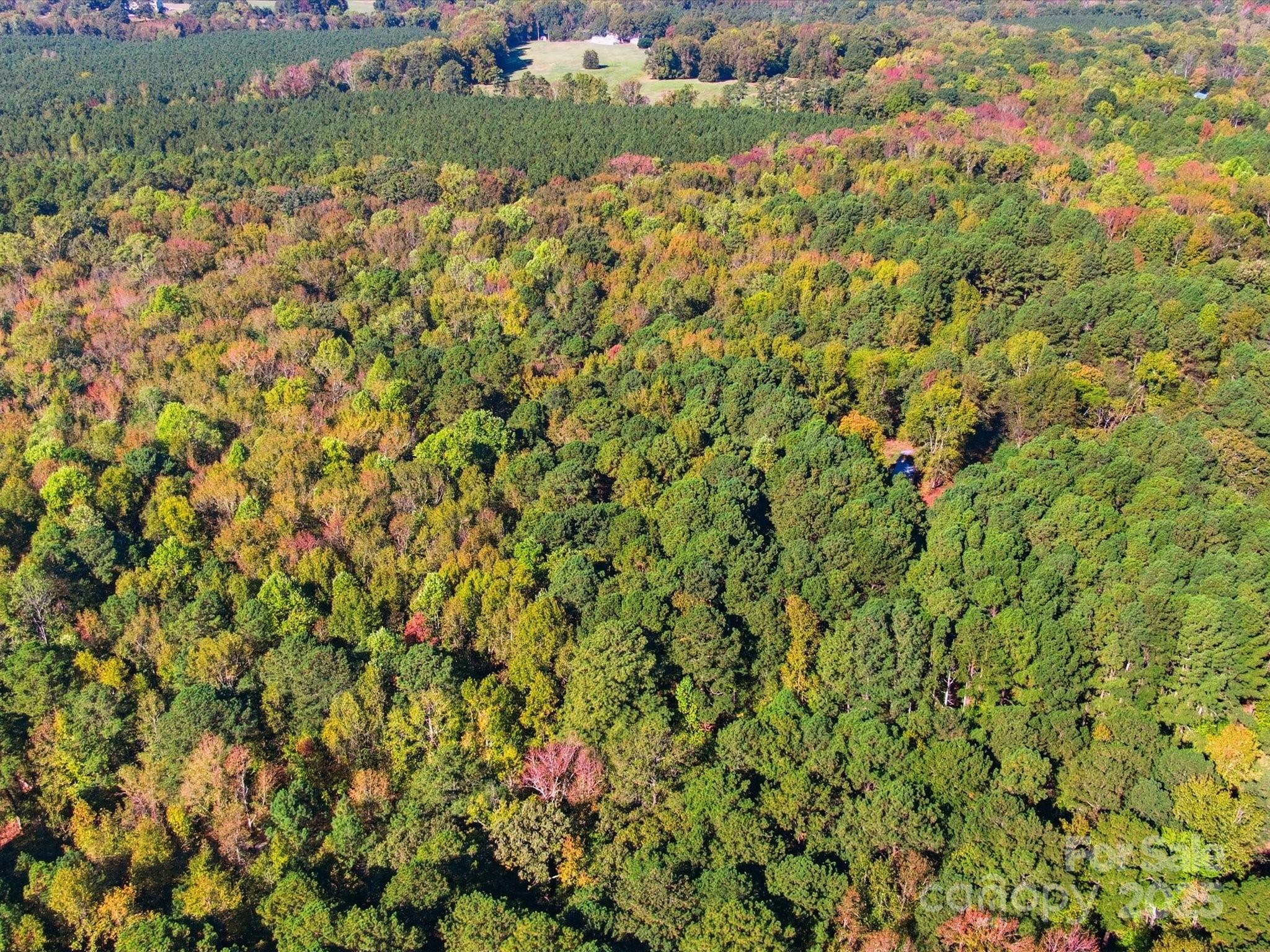 0 Rehobeth Road Waxhaw, NC 28173 - Photo 8 of 20 a view of a lush green field