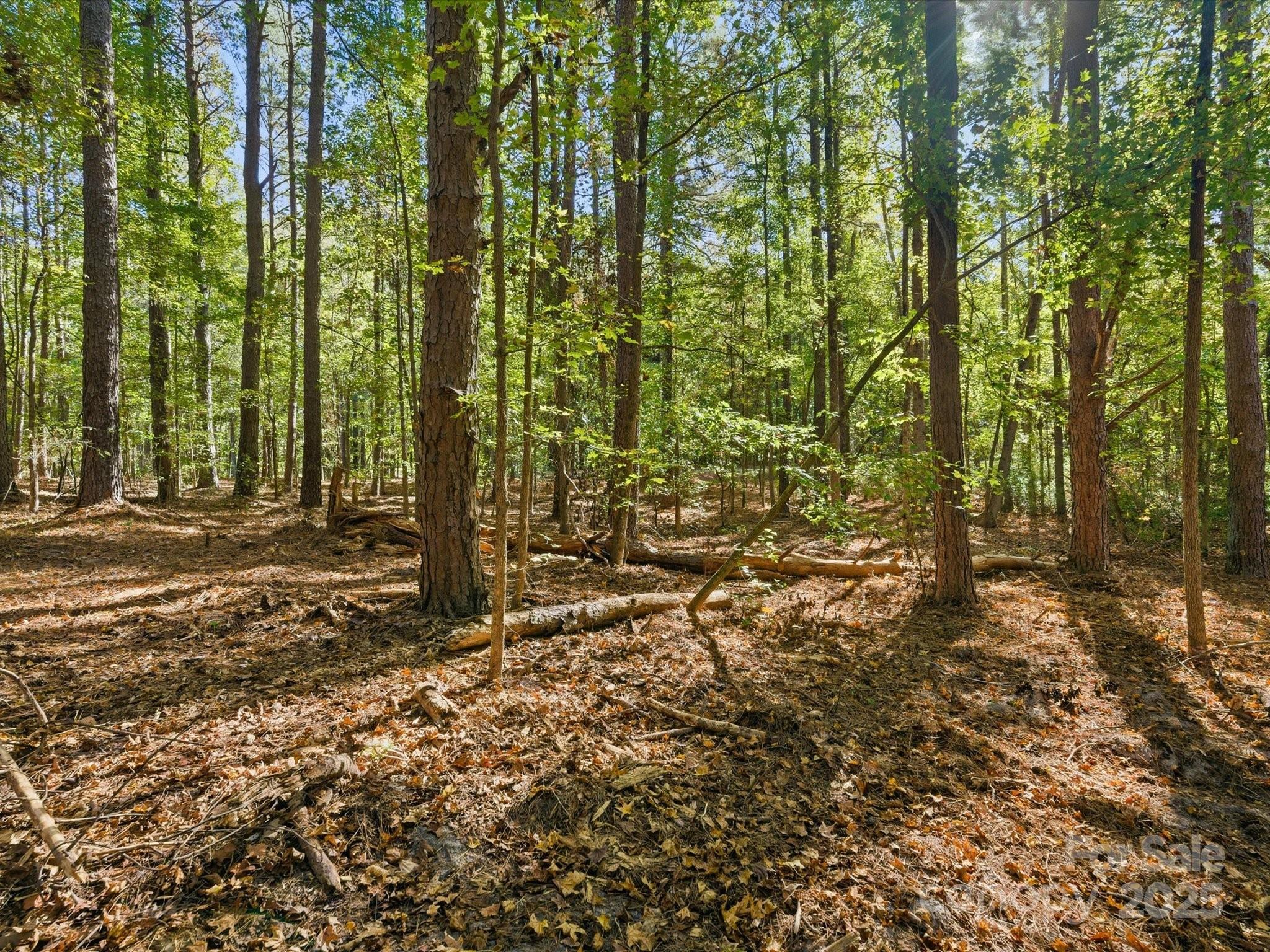 0 Rehobeth Road Waxhaw, NC 28173 - Photo 9 of 20