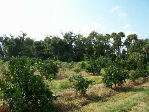 0 Leeper Road Fort Pierce, FL 34945 - Photo 4 of 8 Additional Photo