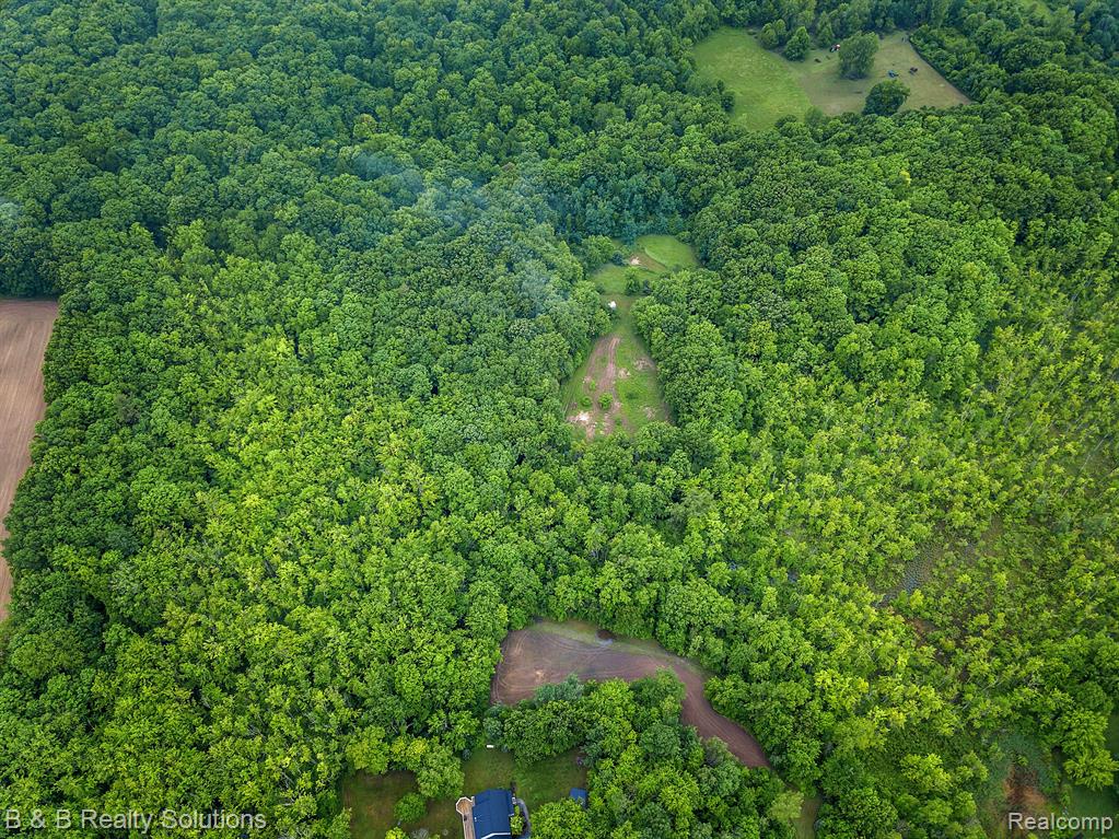 0 South Lake Pleasant Road Metamora, MI 48455 - Photo 28 of 32
