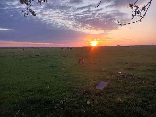 $949,900 | 4820 Highway 16, Loving, TX 76460