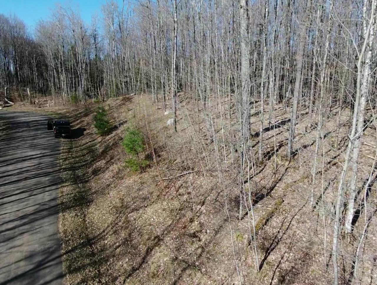 Along Hewitt Road, Unit LOT 1 Mercer, WI 54547 - Photo 29 of 32 Gallery Image 29