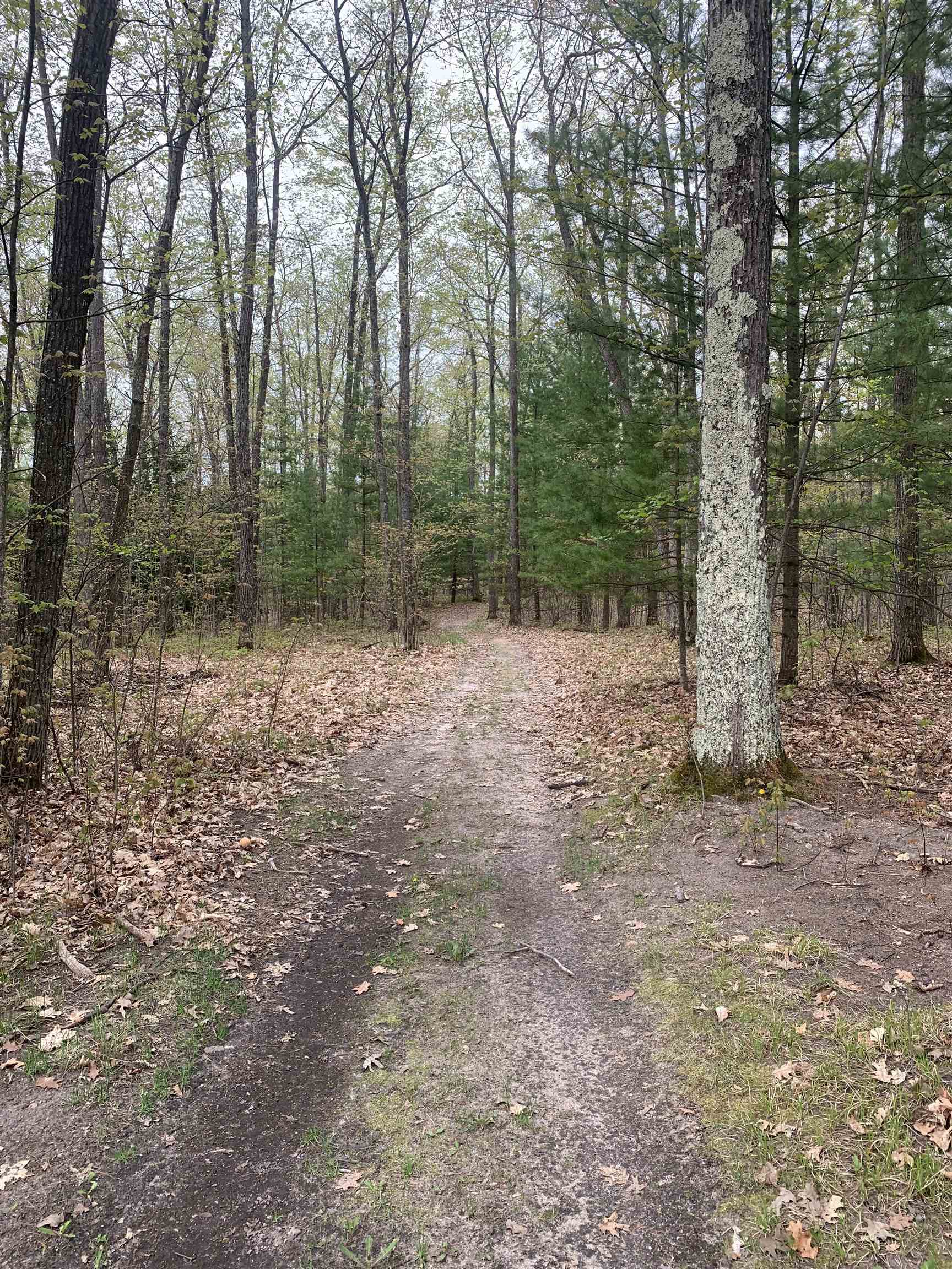 8167 North Loxley Road Roscommon, MI 48653 - Photo 6 of 32 1910958-5.JPG