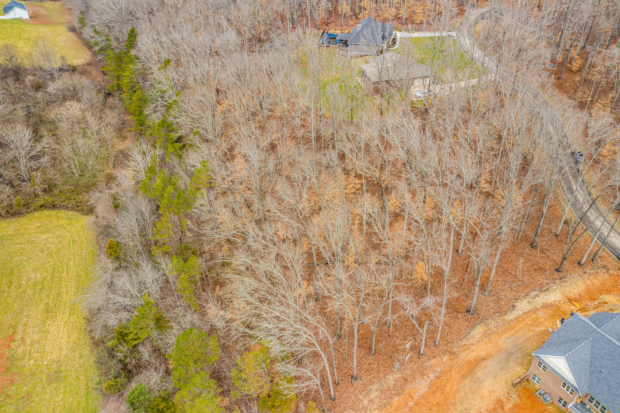 Lot 34 Blount Circle Rutledge, TN 37861 - Photo 3 of 17 3