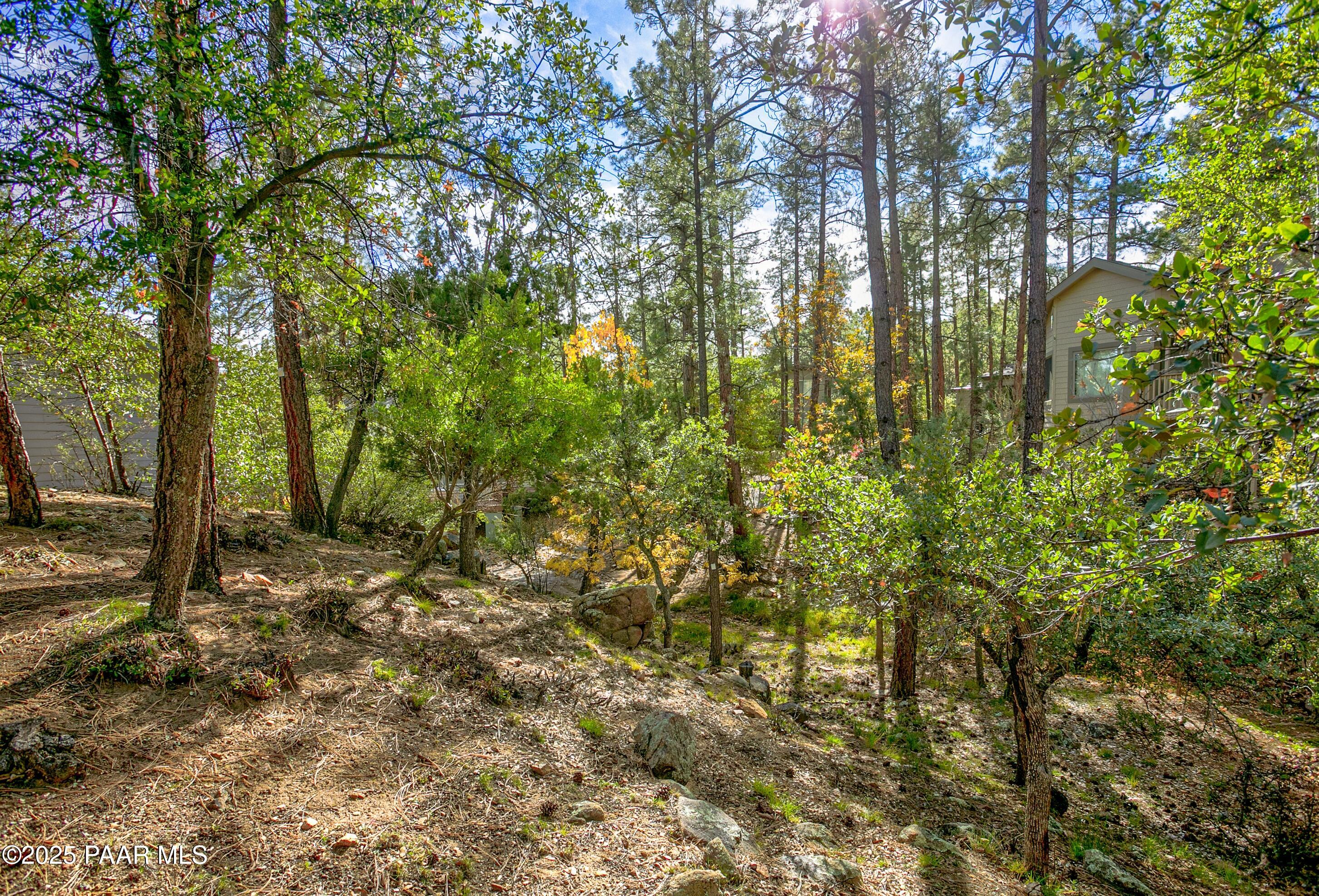 1905 Timber Point West Prescott, AZ 86303 - Photo 22 of 27 a view of a yard with plants and trees