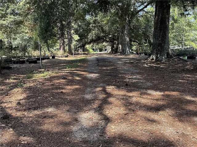 $312,500 | 12497 Joseph's Road, Folsom, LA 70437