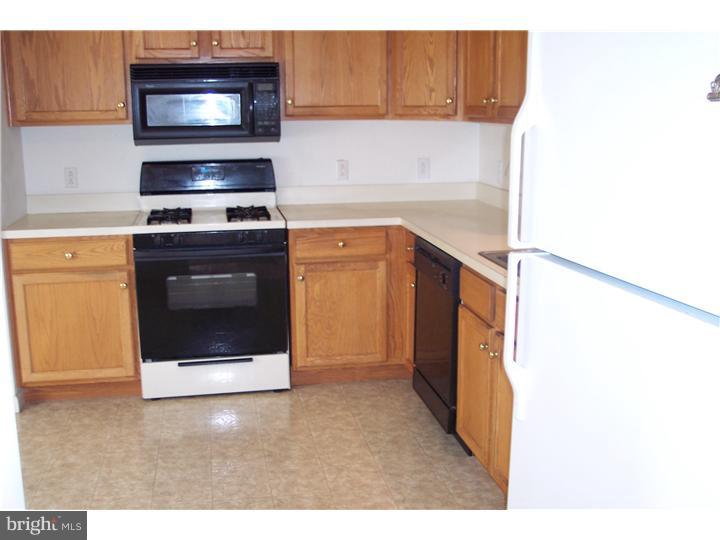 109 Nicole Way Sinking Spring, PA 19608 - Photo 3 of 16 Kitchen