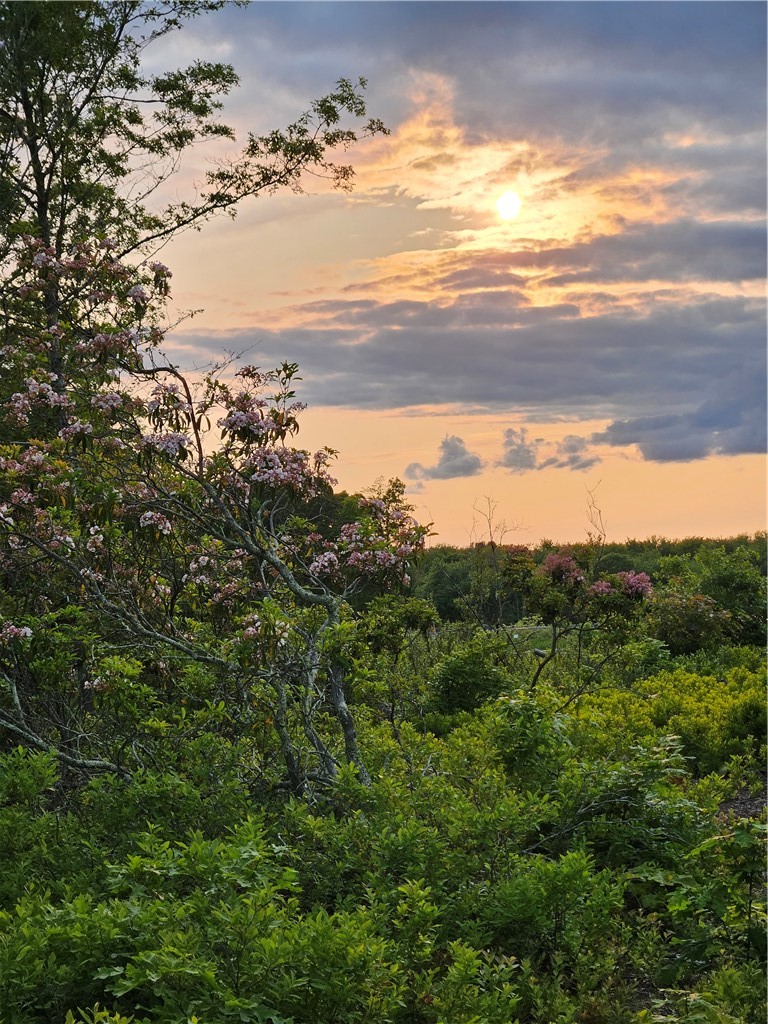 241 Cornell Road Tiverton, RI 02878 - Photo 44 of 47