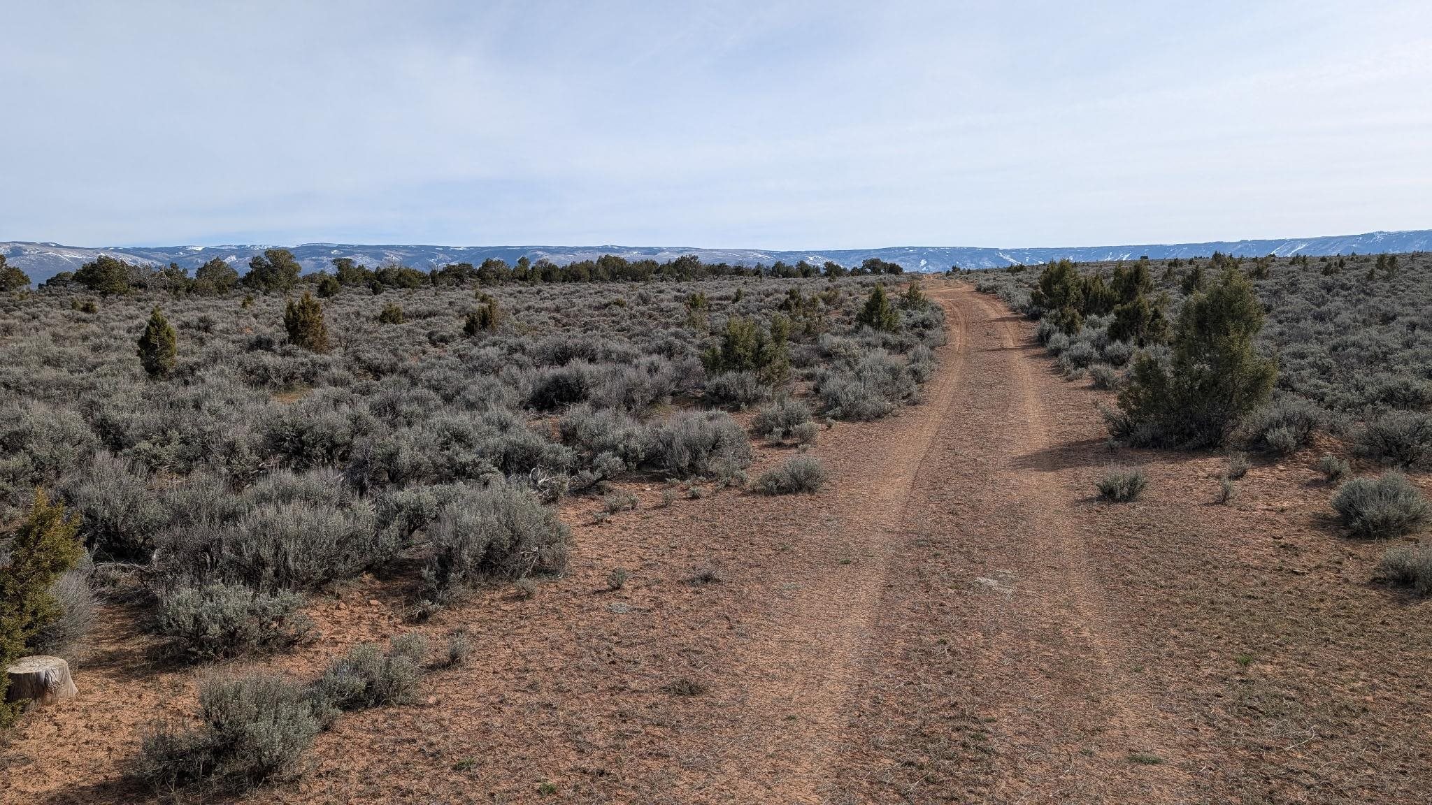 Tbd V Road, Unit LOT 6 De Beque, CO 81630 - Photo 2 of 9 a view of a dry yard with lots of trees
