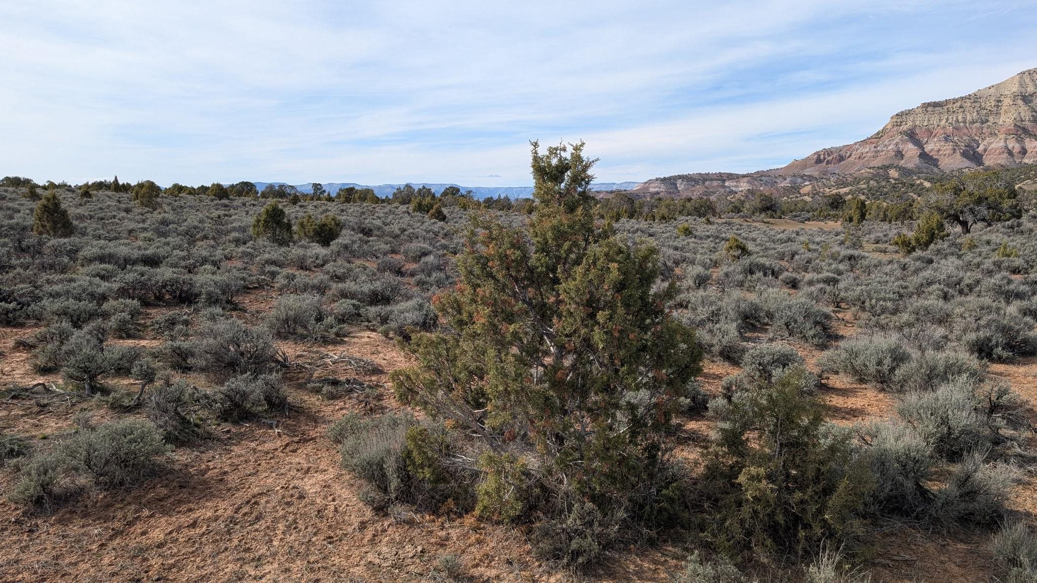Tbd V Road, Unit LOT 6 De Beque, CO 81630 - Photo 5 of 9 a view of a dry field