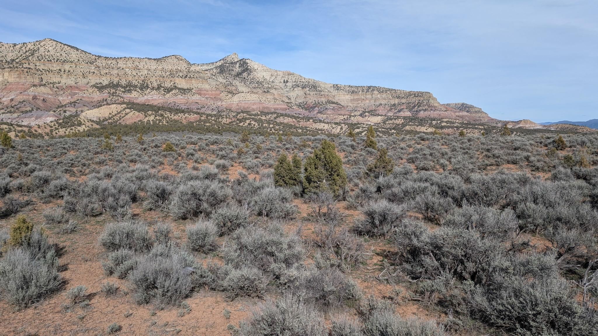 Tbd V Road, Unit LOT 6 De Beque, CO 81630 - Photo 6 of 9 a view of a mountain range with trees in the background