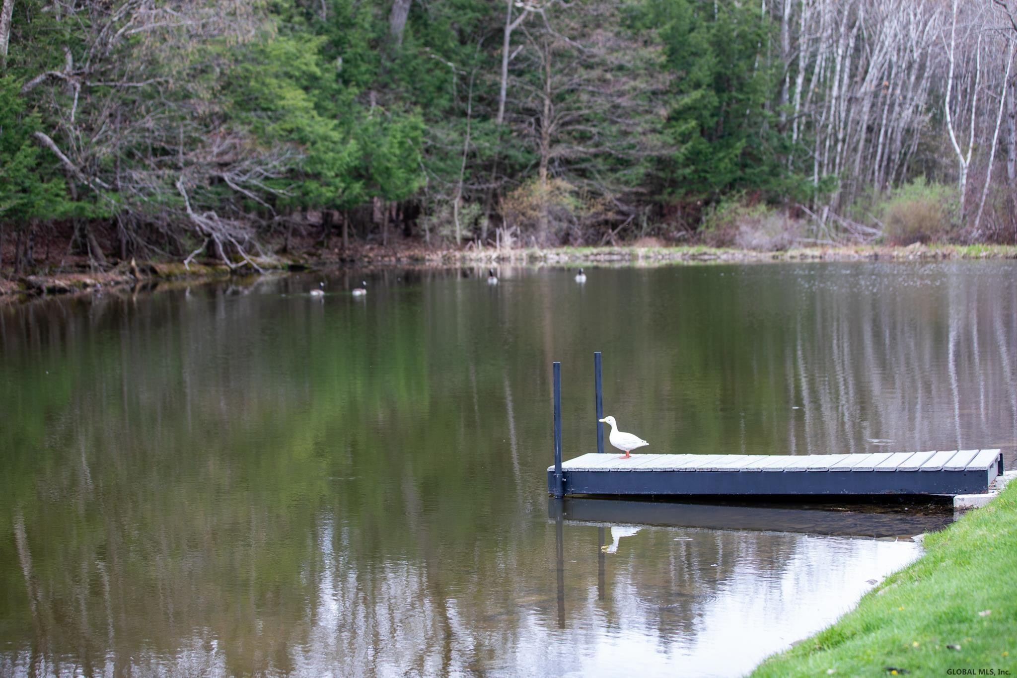 199 Vanderwerken Road Sloansville, NY 12160 - Photo 54 of 65 Photo 54