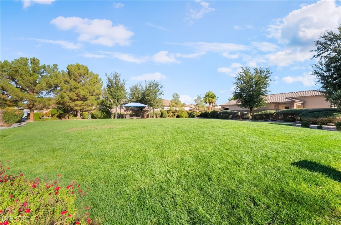 4732 Adriano Way Pahrump, NV 89061 - Photo 42 of 44 View of green lawn