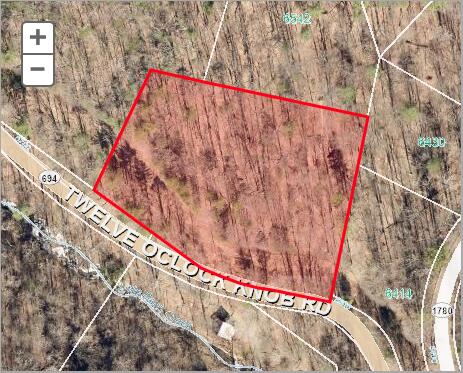 0 Twelve Twelve Oclock Knob Road Roanoke, VA 24018 - Photo 2 of 2 a close up of a plant