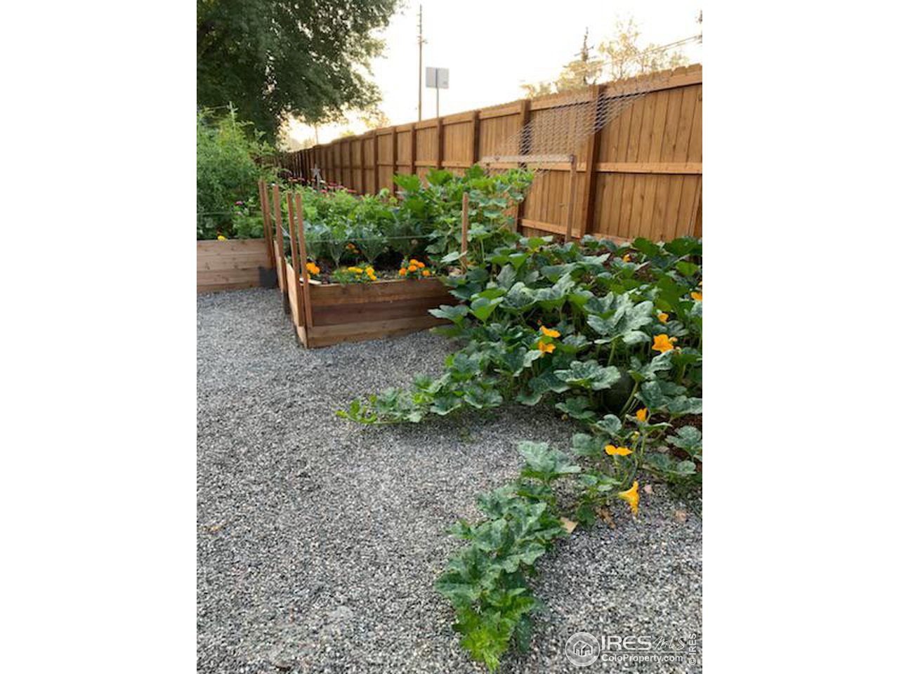 5690 Juhls Drive Boulder, CO 80301 - Photo 33 of 40