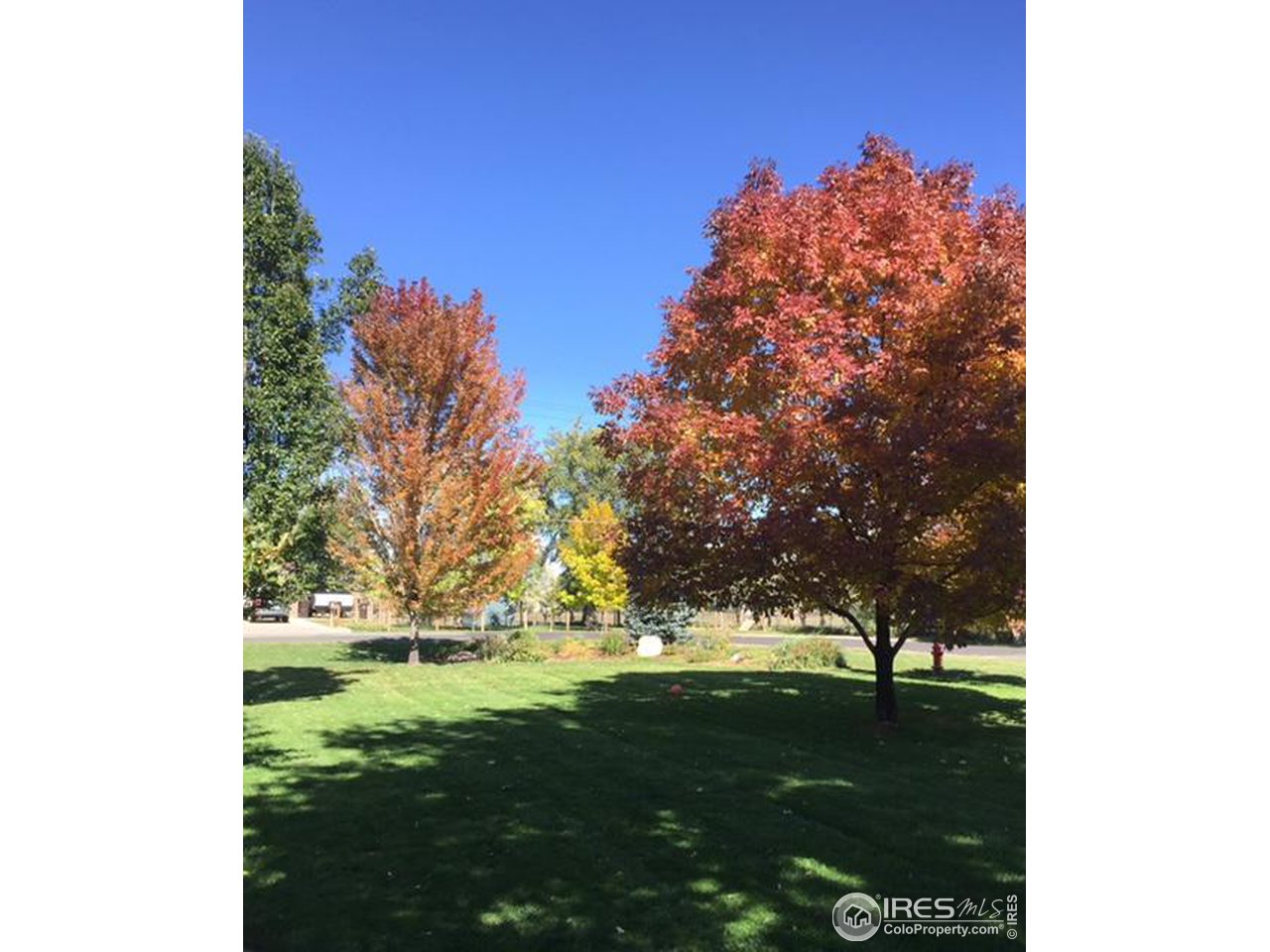 5690 Juhls Drive Boulder, CO 80301 - Photo 35 of 40 Gorgeous mature trees and landscaping