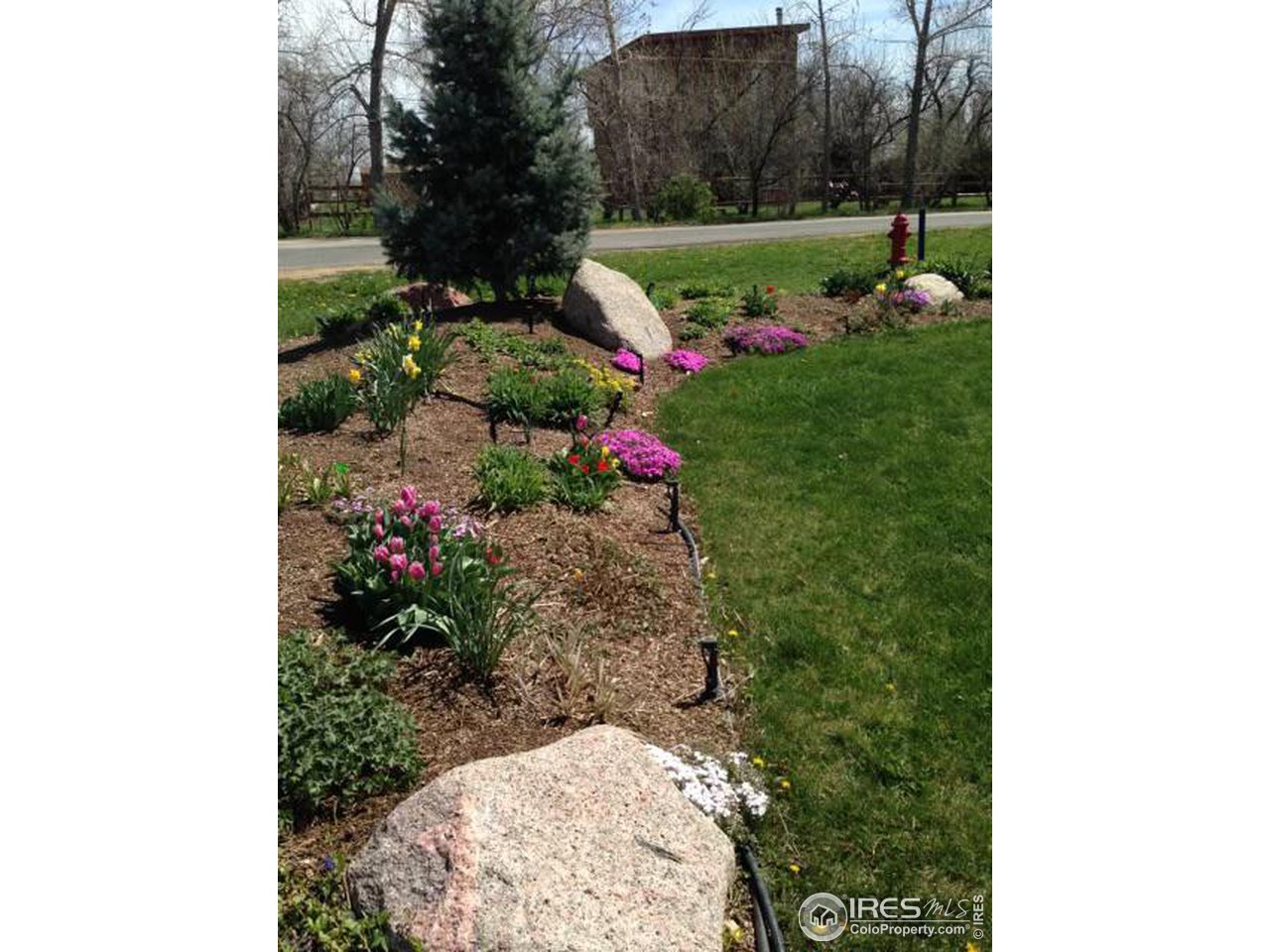 5690 Juhls Drive Boulder, CO 80301 - Photo 37 of 40