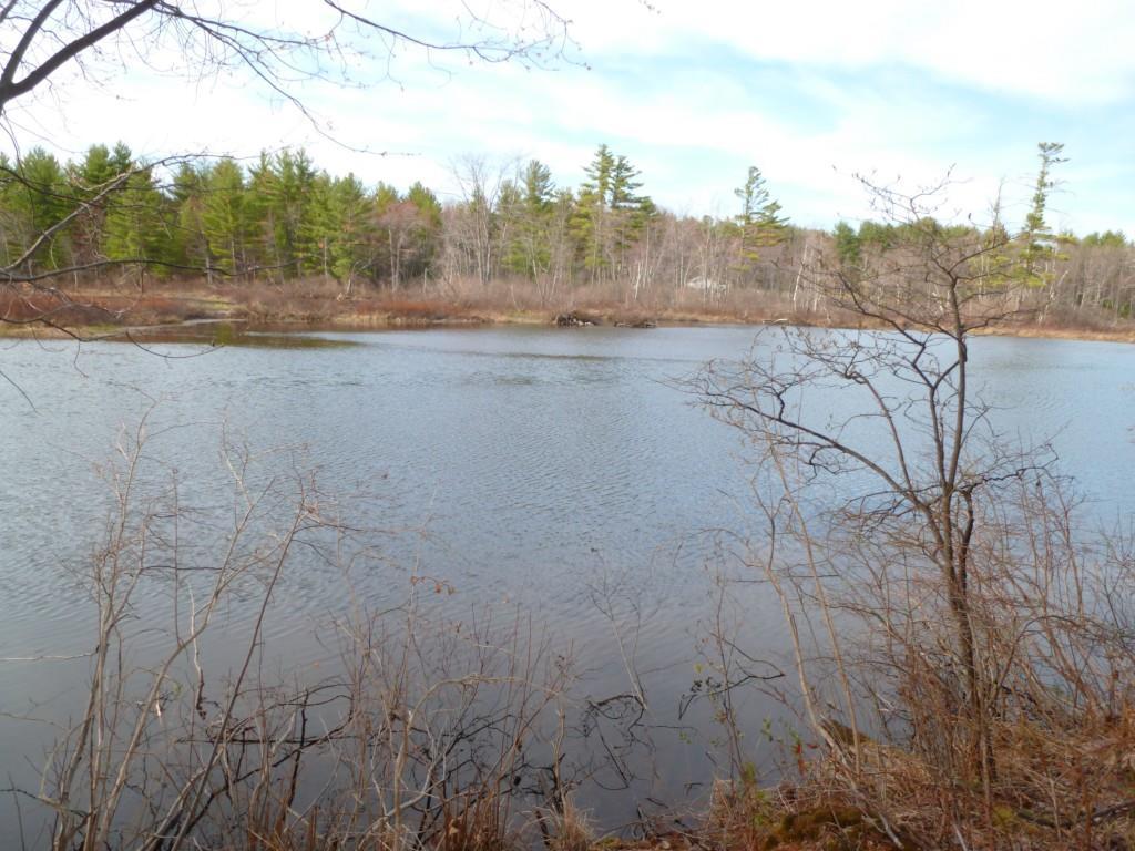Lot 4 Greeley Brook Road Oxford, ME 04270 - Photo 7 of 10 Photo