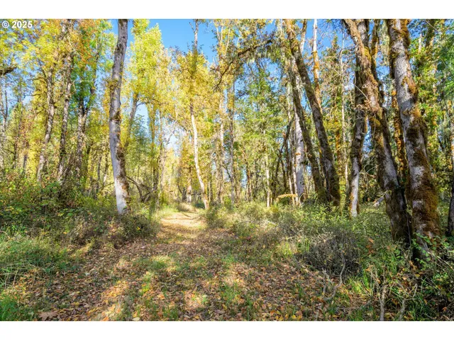 a view of backyard with green space