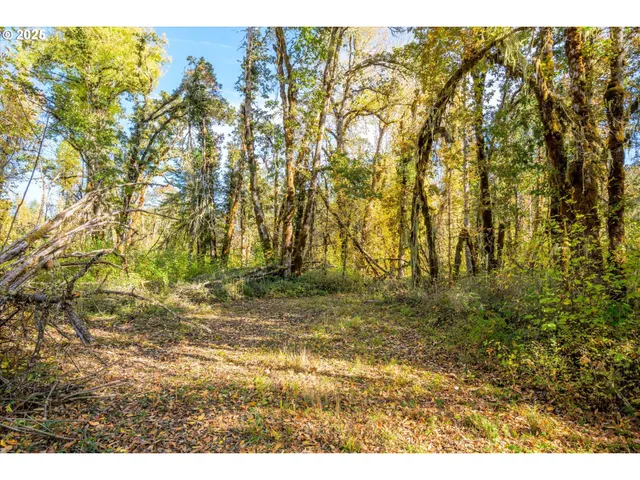 a view of room with yard and wooden fence