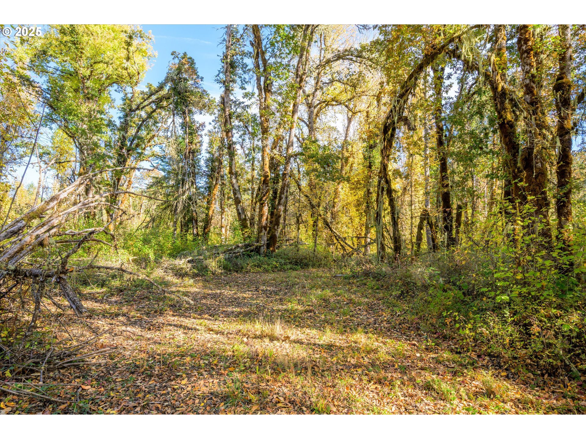 Siuslaw River Road Lorane, OR 97451 - Photo 15 of 41