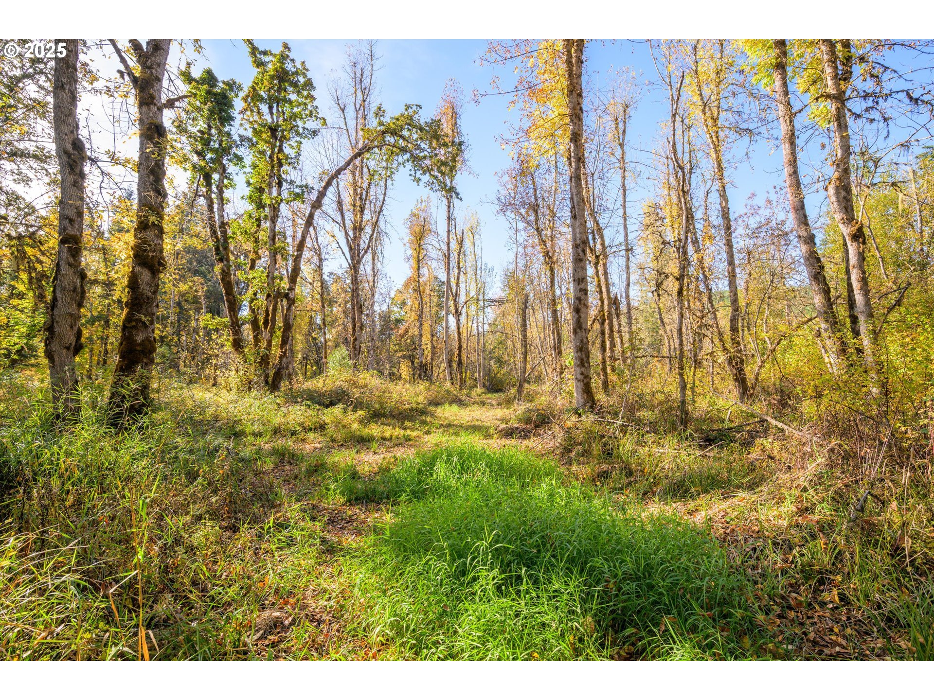 Siuslaw River Road Lorane, OR 97451 - Photo 17 of 41
