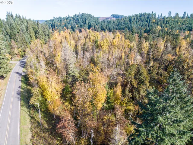 a view of a lot of trees and bushes