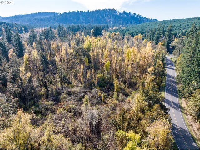 a view of mountain with trees in the background