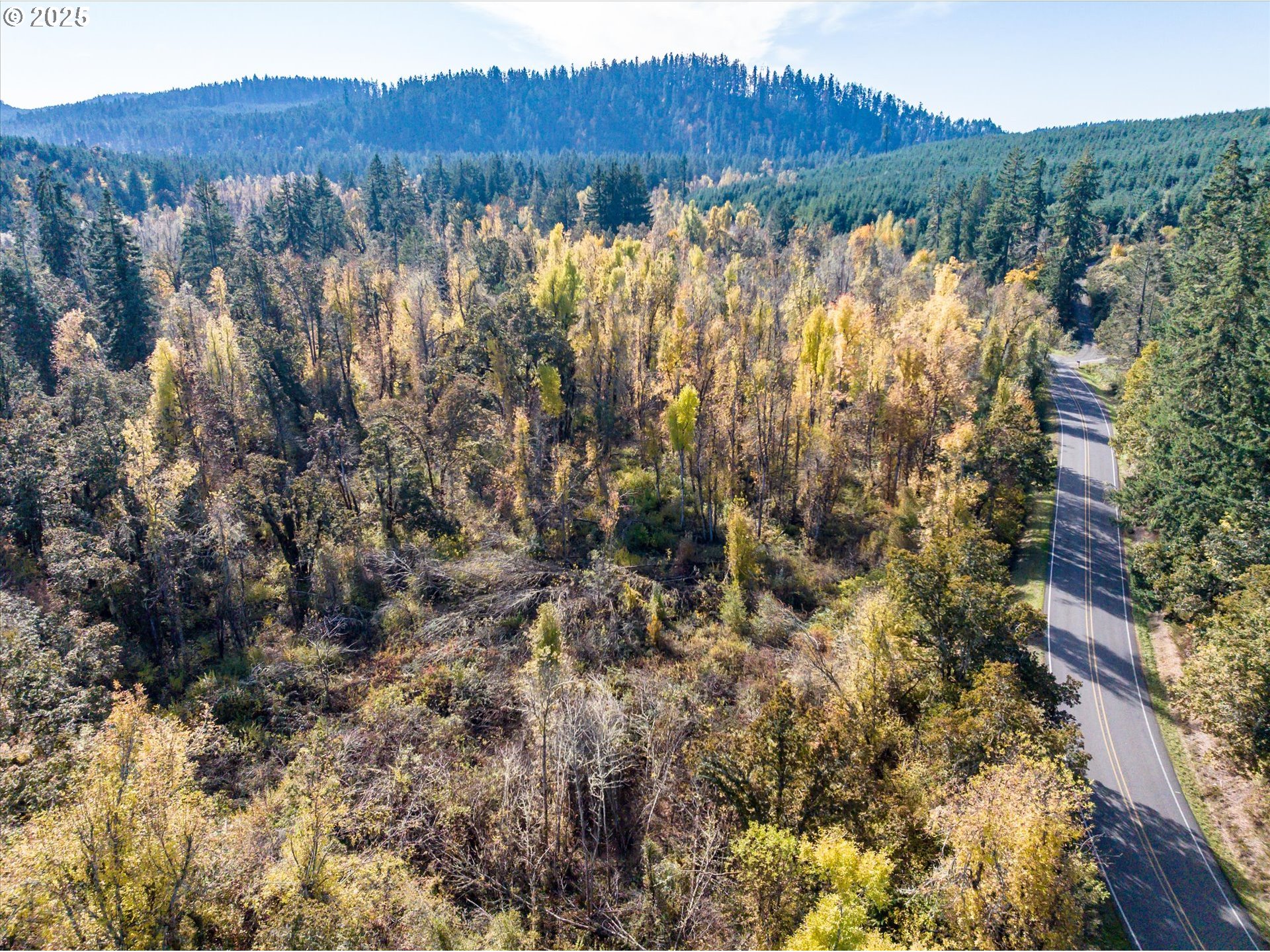 Siuslaw River Road Lorane, OR 97451 - Photo 23 of 41