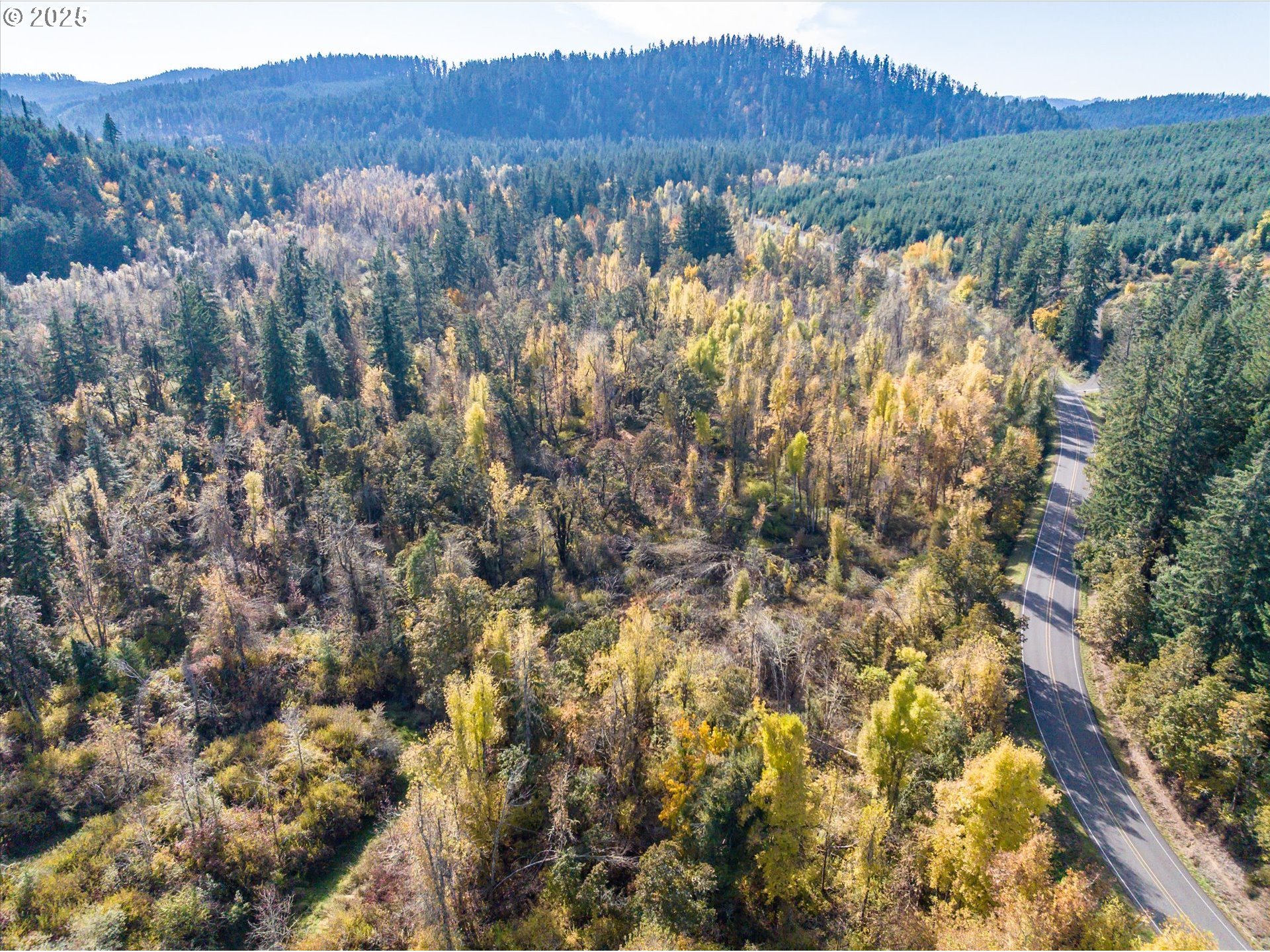Siuslaw River Road Lorane, OR 97451 - Photo 24 of 41